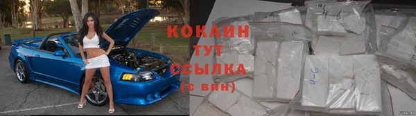 гашик Белоозёрский
