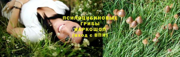 гашик Белоозёрский
