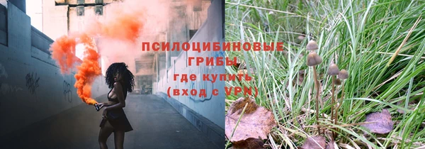гашик Белоозёрский