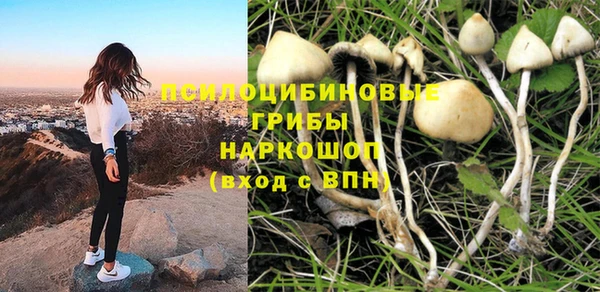 MDMA Premium VHQ Белокуриха