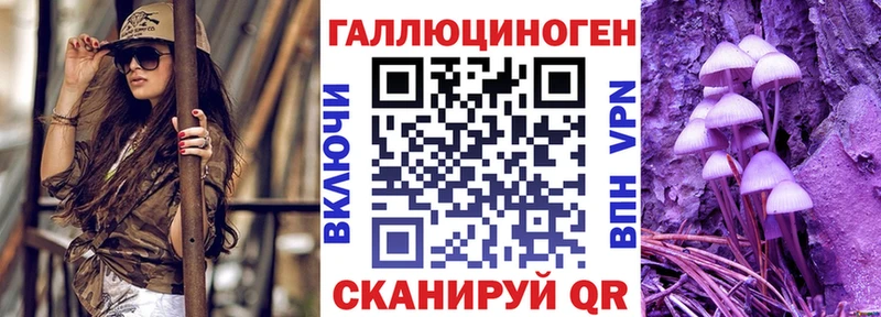 Галлюциногенные грибы Psilocybe  Кувшиново 
